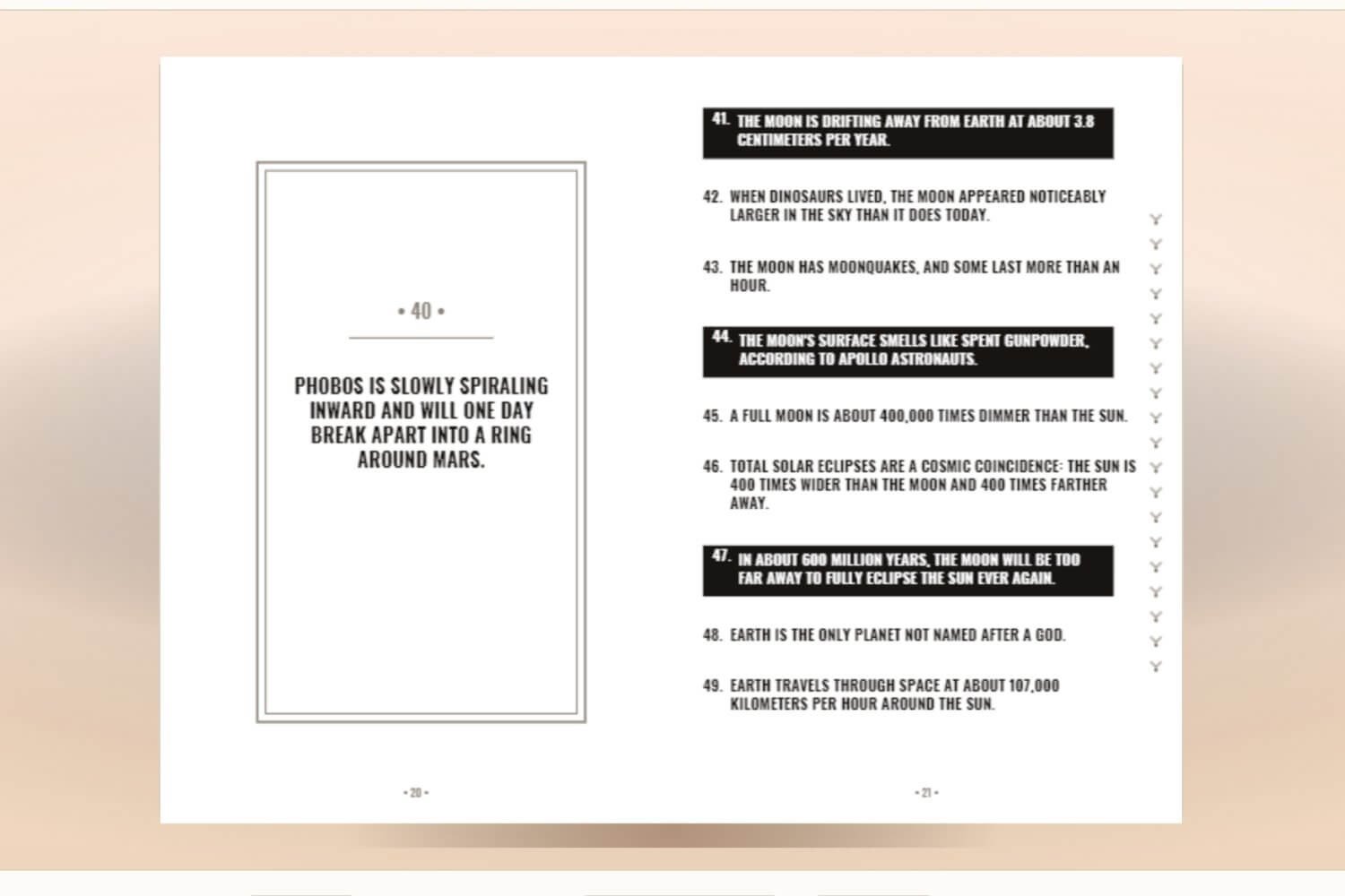 Fact Book Studio review step 2 auto layout screen